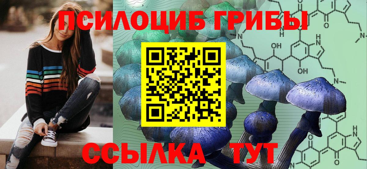 Псилоцибиновые грибы мухоморы Кудымкар