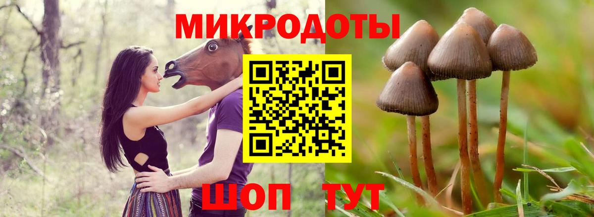 Псилоцибиновые грибы Psilocybe  Псилоцибиновые грибы ЛСД  Вход с VPN  Кудымкар 
